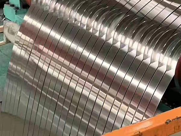 Stainless Steel Strip