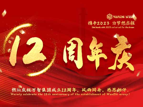 Celebrazione del 12° anniversario del Gruppo Wanzhi
