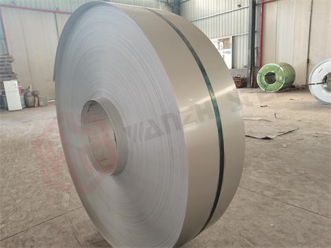 Wanzhi Stainless Steel Strip