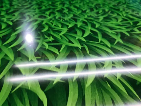 Surface pattern