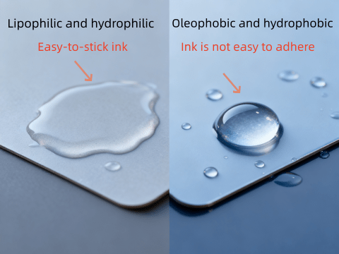 Hydrophobicity and oleophobicity