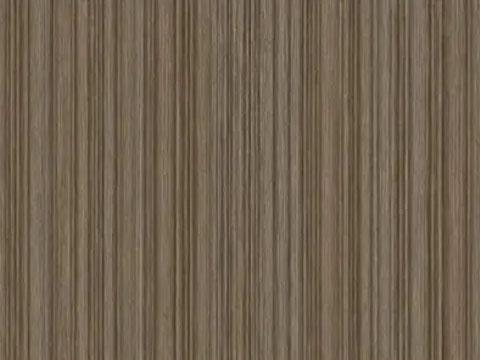 PET-coated steel sheet