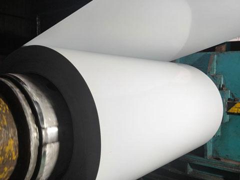 white ppgi coil